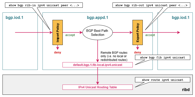 bgp policy processing